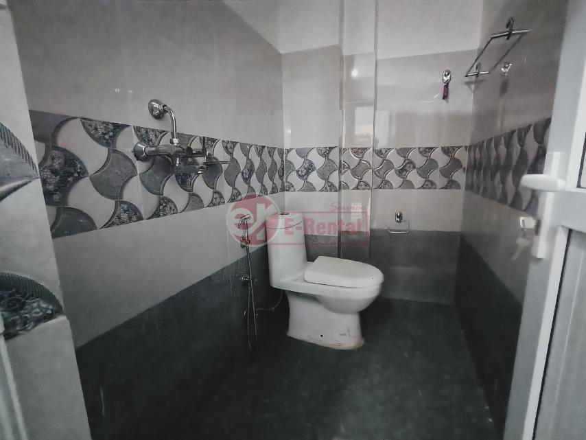 viber_image_2026-02-17_14-05-14-507